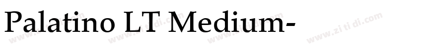 Palatino LT Medium字体转换